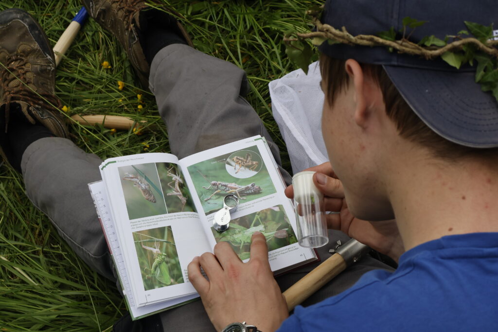 Bild Freizeit Young Naturalists Wochenende