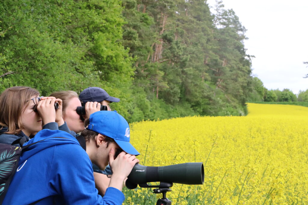 Bild Freizeit Wilde Vögel hautnah erleben