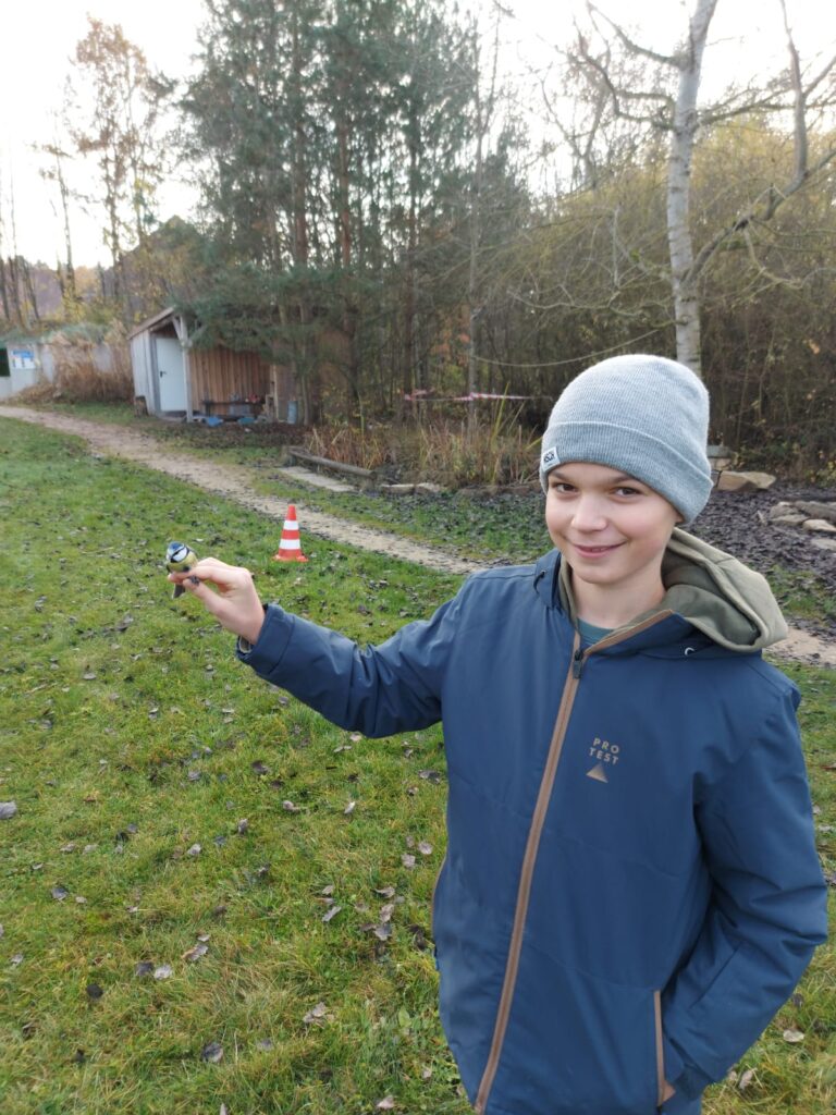 Bild Freizeit Singvogel-Monitoring