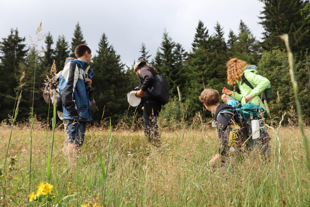 Bild Freizeit Young Naturalists Langeoog