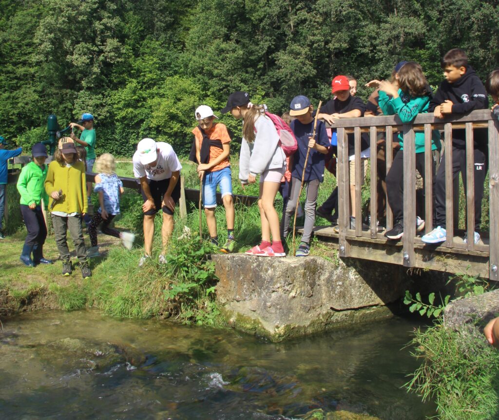 Bild Freizeit Kinderzeltlager am Brombachsee