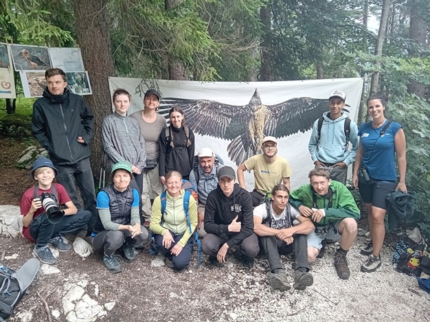 Bild Freizeit Bartgeier und Alpen erleben