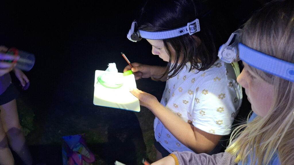 Bild Freizeit Familienexpedition Bayerischer Wald