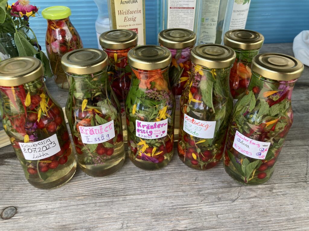 Bild Freizeit Kräuter-Erlebnisnachmittag München