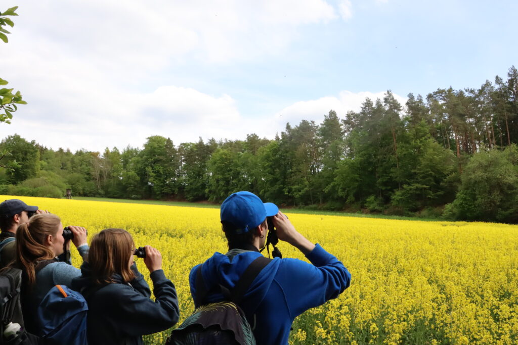 Bild Freizeit Wilde Vögel hautnah erleben